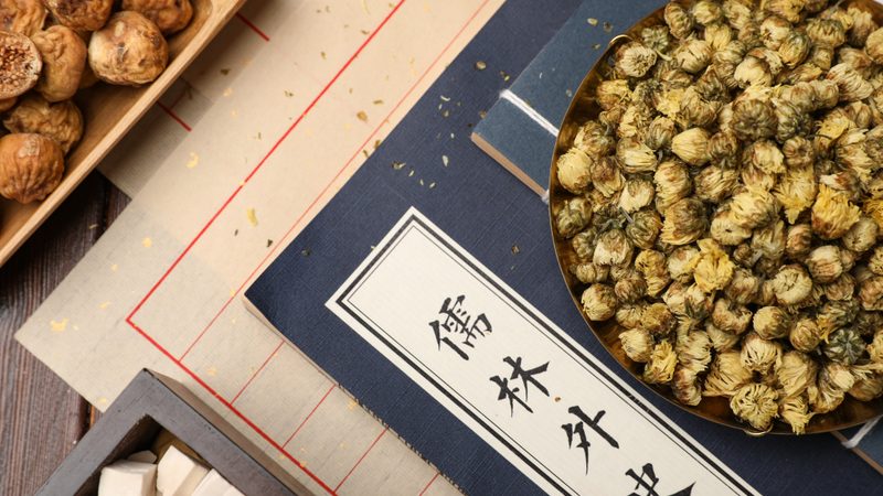 体质调理与养生的区别