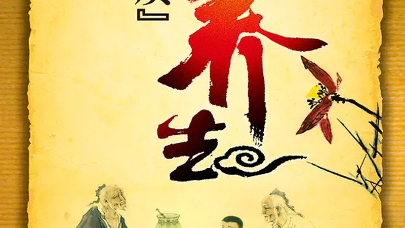 揭秘中药调理仪器：如何辨别品质与功效