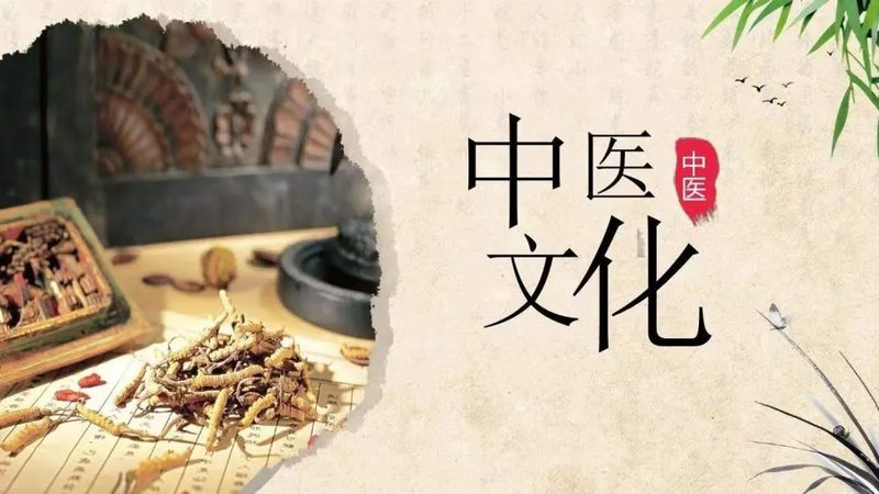养生馆加盟实地调研：如何洞察行业本质？**